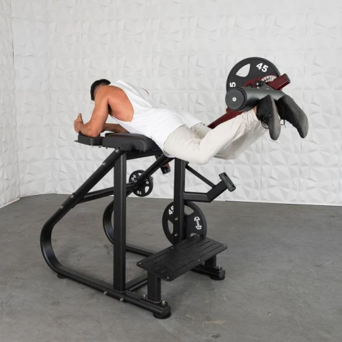 Muscle D - Pro Strength Reverse Hyper