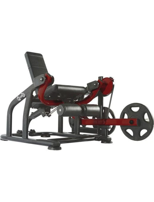 Pro Strength Leg Extension Machine by Muscle D Fitness