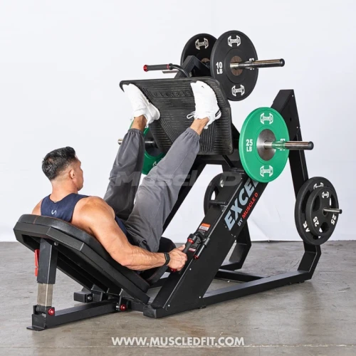 Muscle D - Excel Linear Leg Press