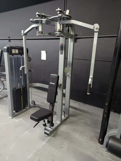 Muscle D - Sweet Prone Leg Curl