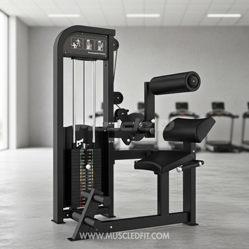 Muscle D Fitness - Excel Back / Ab Combo