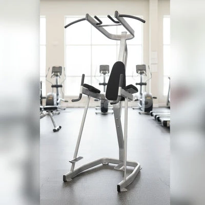 Muscle D Fitness - Commercial Vertical Knee Raise with Pull-Up Station
