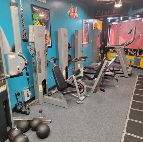 FreeMotion 11 PC Strength Circuit - Total Body Gym Package