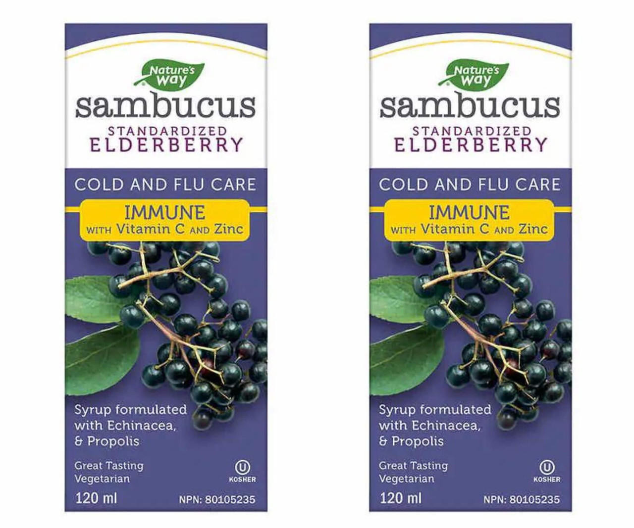  Sambucus Elderberry Cold and Flu Syrup - 2 Bottles of 120 mL | Immune Defense & Symptom Relief 