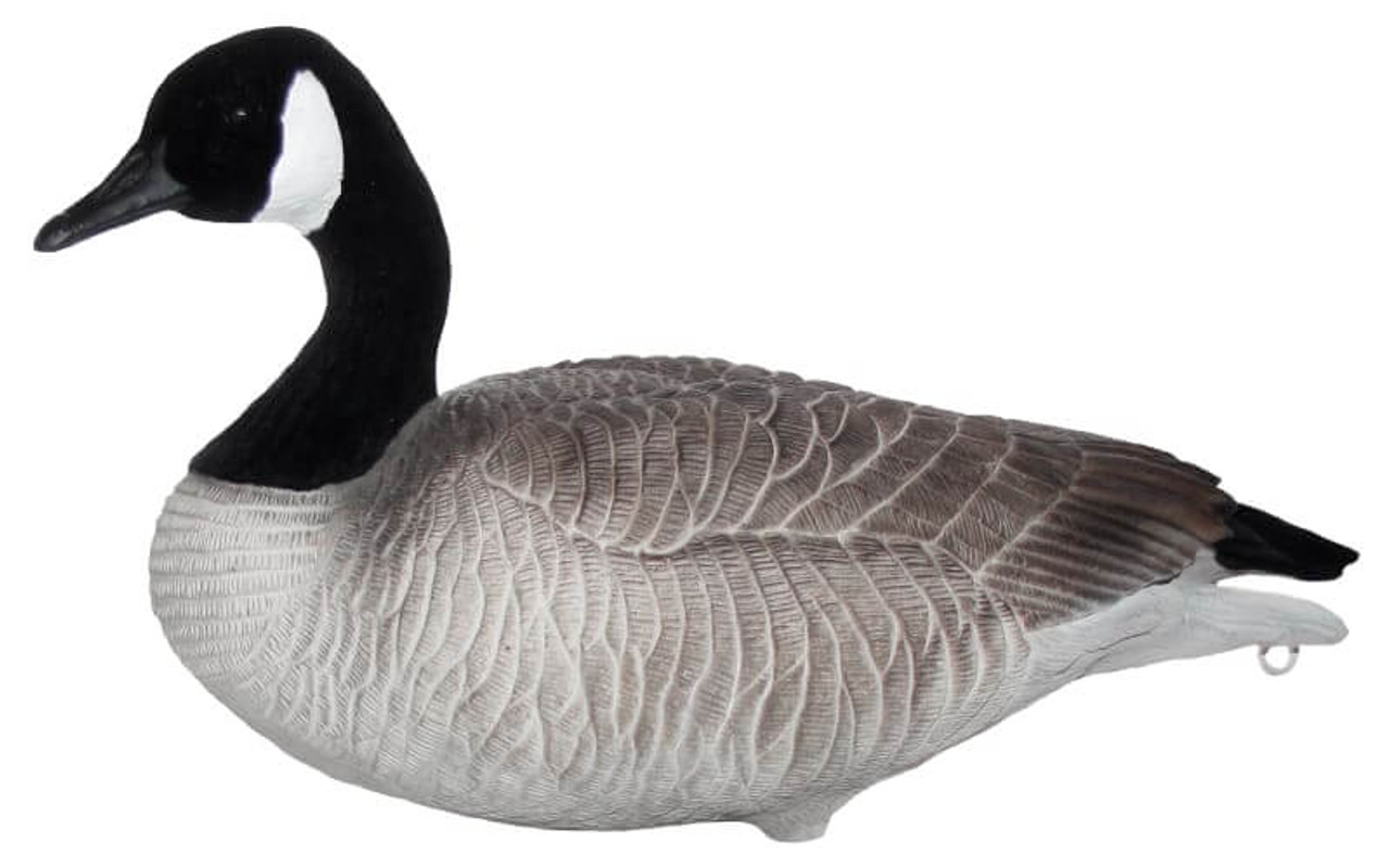 Heavy Hauler Painted-Head Lesser Canada Goose Decoys (8 Feeders & 4 Resters). CHICKEN PIECES.