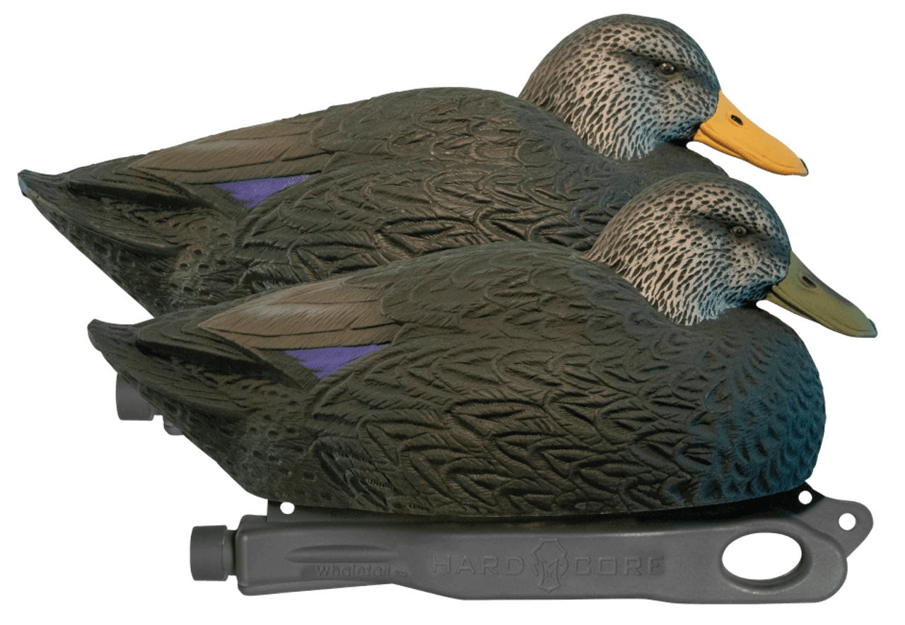 Hard Core Decoys Rugged Series Magnum Black Duck Decoys (3 Drakes & Hens). CHICKEN PIECES.