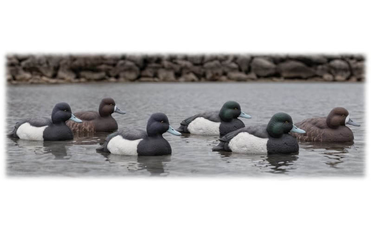 Avian-X Topflight Bluebill Duck Decoys (4 Drakes & 2 Hens). CHICKEN PIECES.