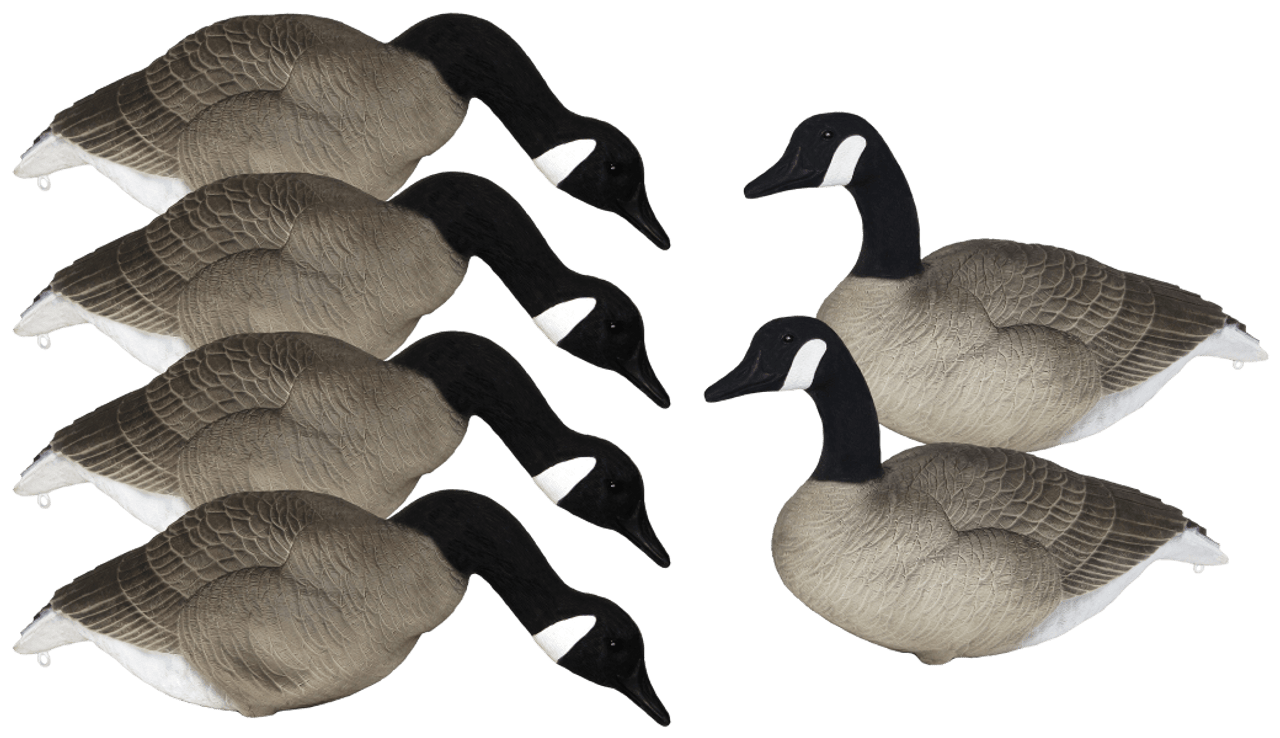 Mayhem Decoys Big Honker Painted-Head Full-Body Canada Goose Decoy Pack. CHICKEN PIECES.