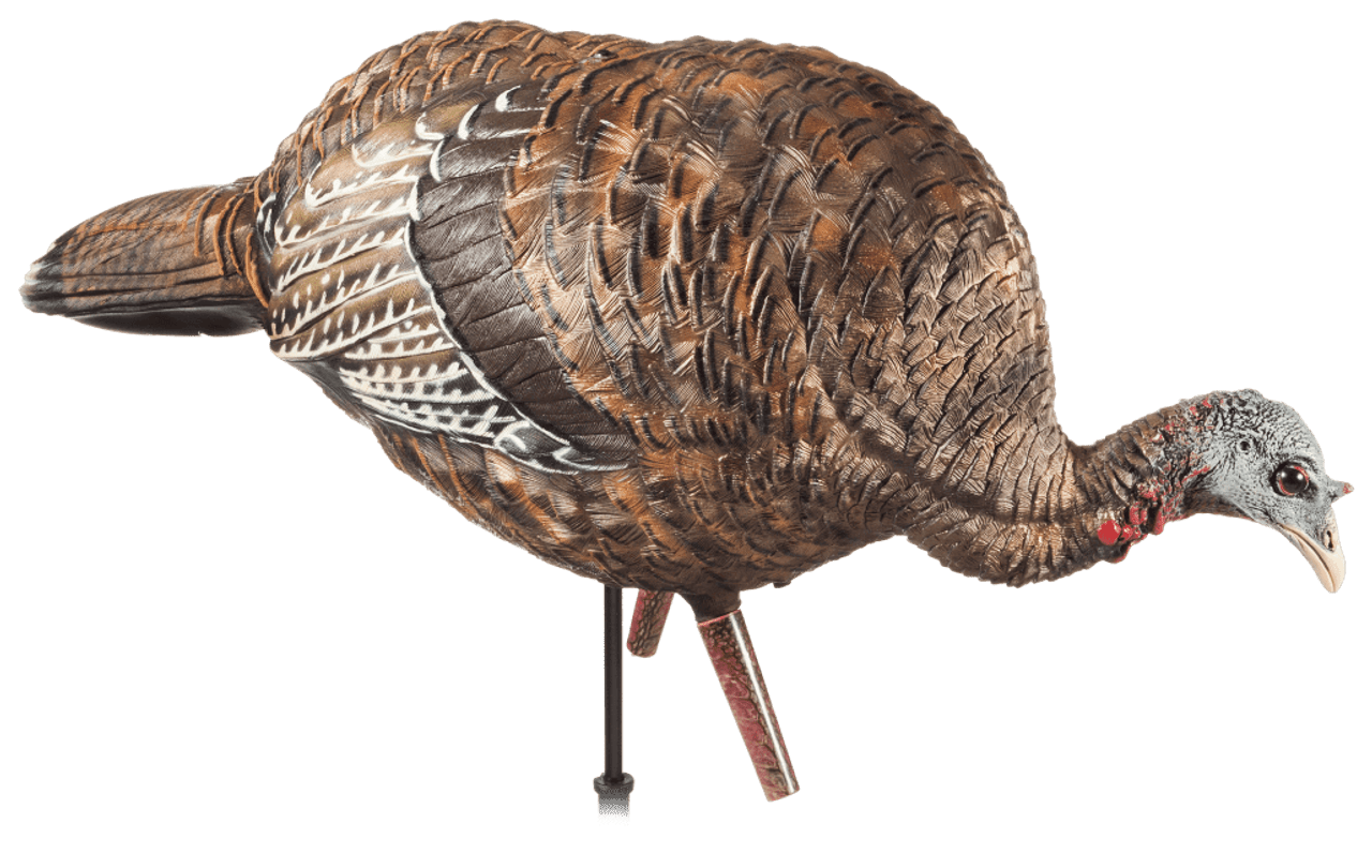 Avian-X LCD Feeder Hen Turkey Decoy. CHICKEN PIECES.