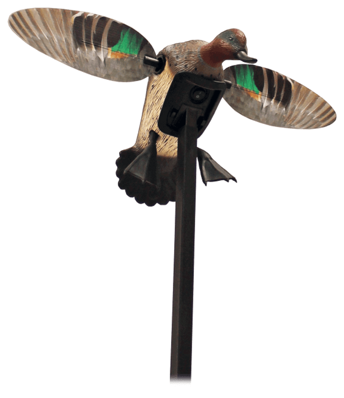 MOJO Outdoors Elite Series Green-Winged Teal Motorized Duck Decoy. CHICKEN PIECES.
