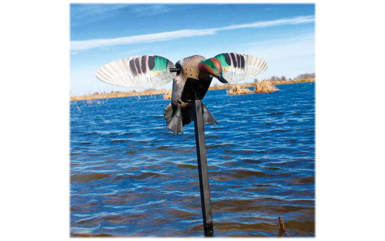 MOJO Outdoors Elite Series Green-Winged Teal Motorized Duck Decoy. CHICKEN PIECES.