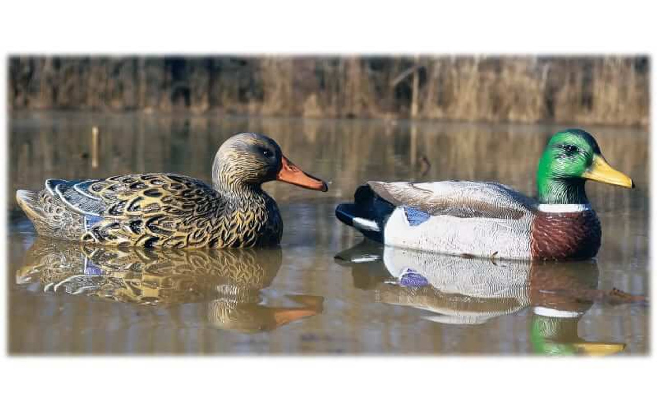 Higdon Outdoors Standard Foam-Filled Mallard Duck Decoys (4 Drakes &  2 Hens). CHICKEN PIECES.