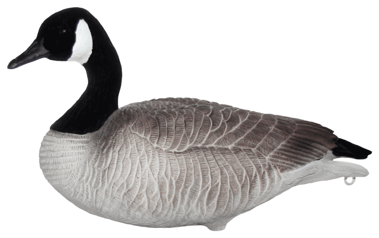 Mayhem Decoys Flocked-Head Lesser Canada Goose Decoys (4 Resters & 8 Feeders). CHICKEN PIECES.