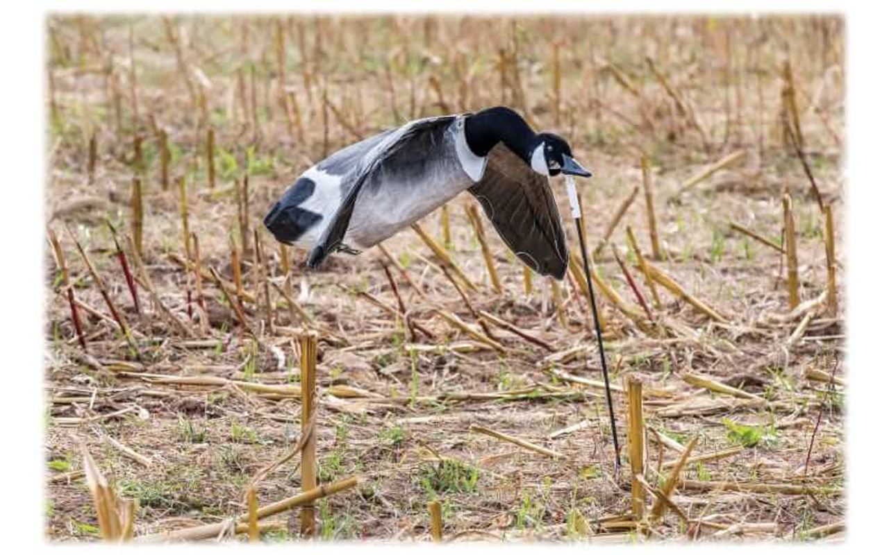 White Rock Decoys Deck Boss Flying Canada Goose Decoy. CHICKEN PIECES.