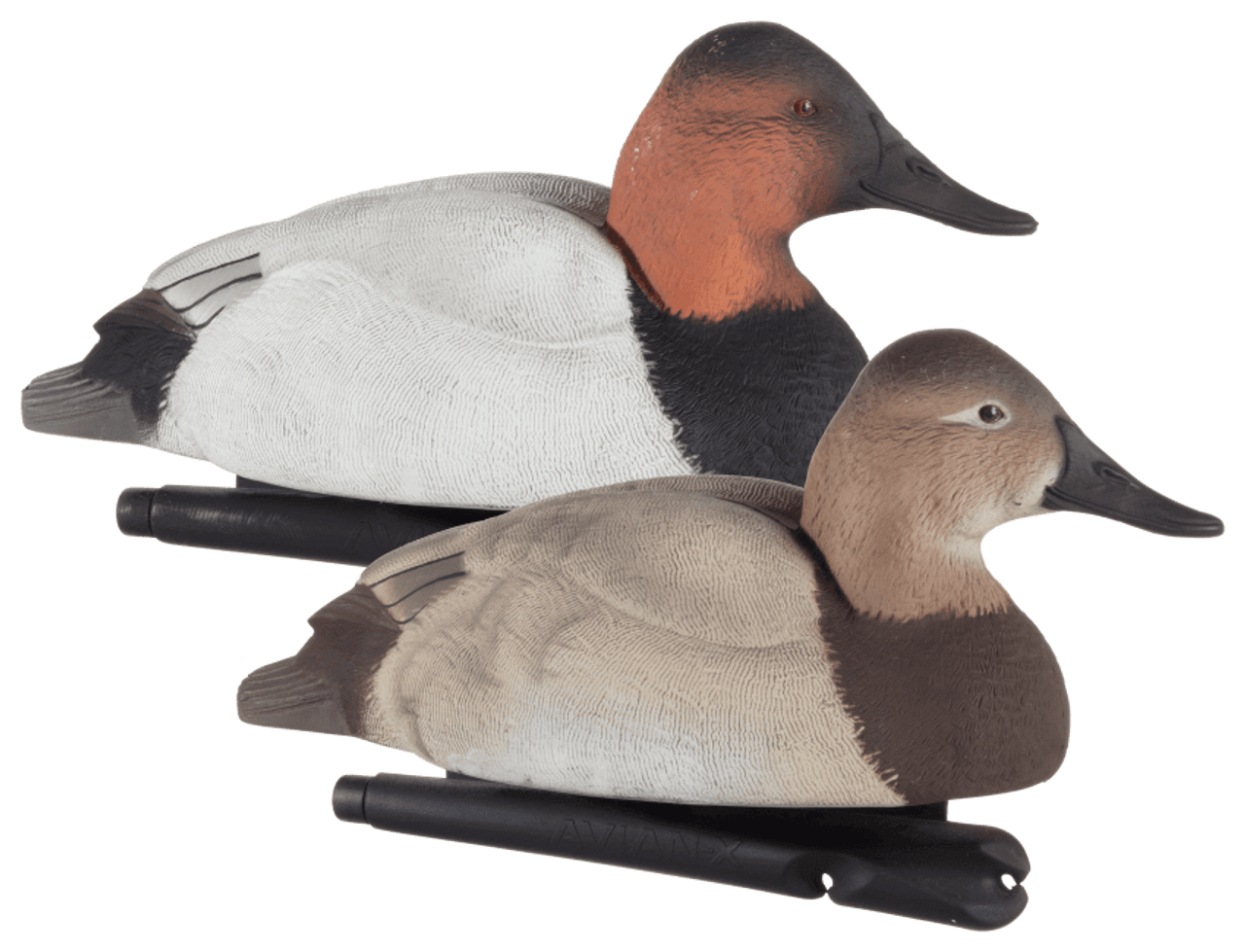 Avian-X TopFlight Floating Canvasback Duck Decoys (3 Drakes & 3 Hens). CHICKEN PIECES.