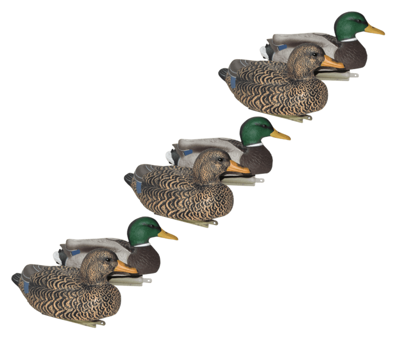 Mayhem Decoys Painted-Head Mallard Floater Duck Decoy Pack 6 pack. CHICKEN PIECES