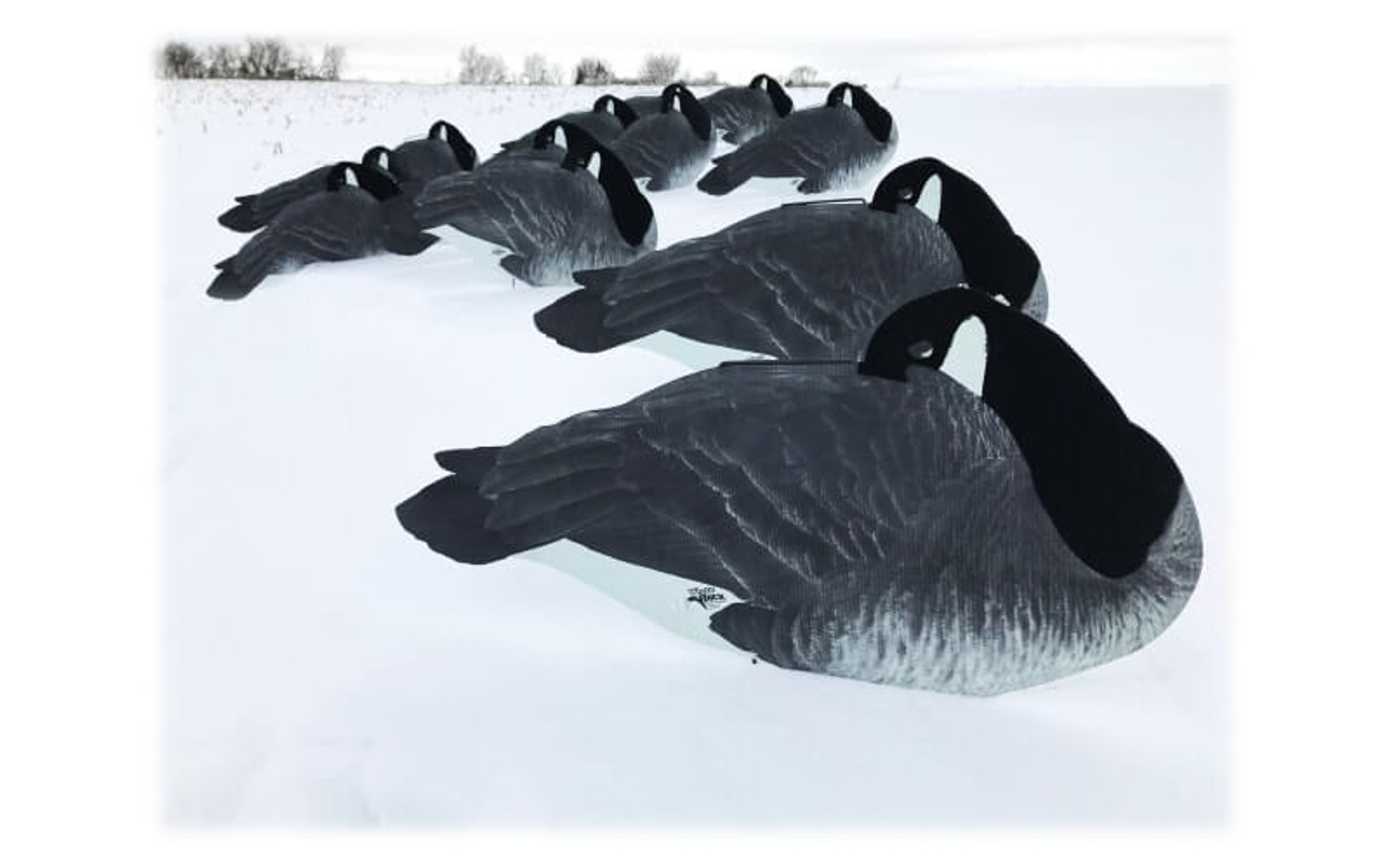 White Rock Decoys Flocked-Head Silhouette Canada Goose Decoy Sleeper Pack. CHICKEN PIECES