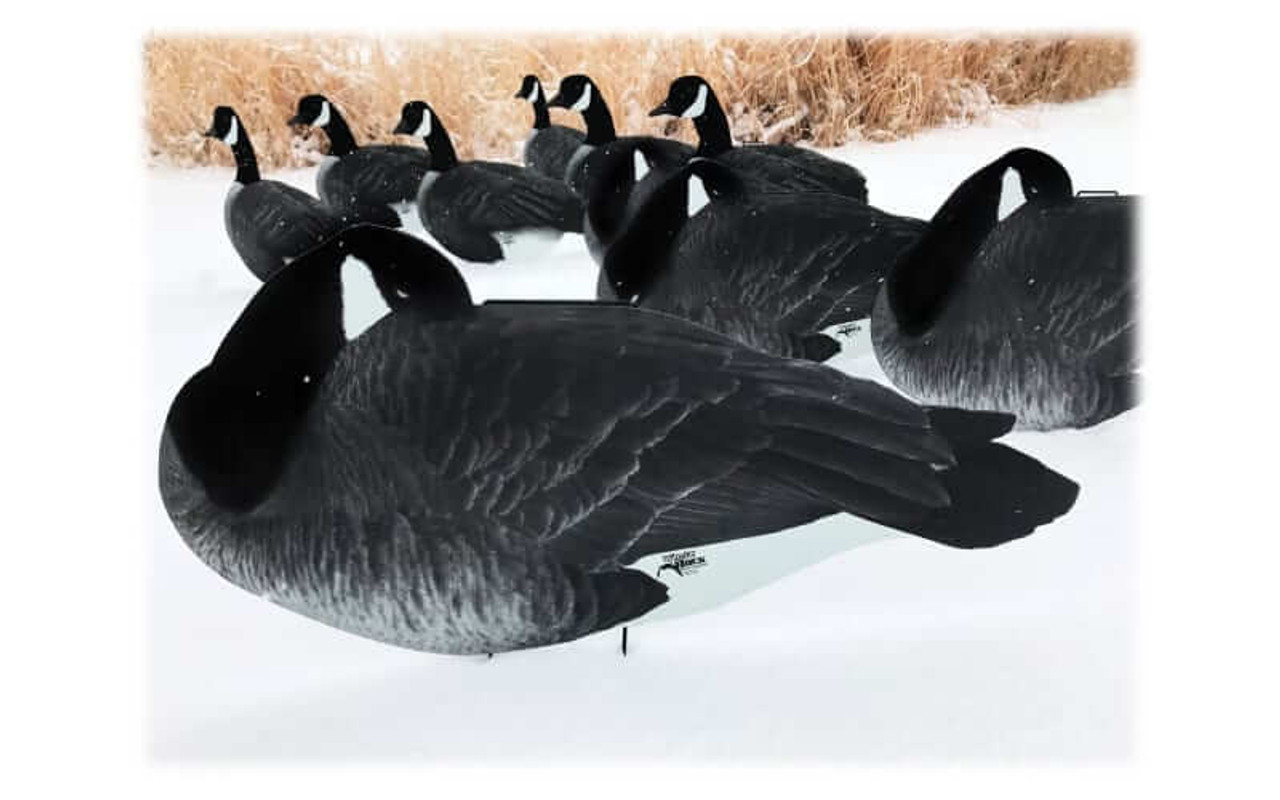 White Rock Decoys Flocked-Head Silhouette Canada Goose Decoy Sleeper Pack. CHICKEN PIECES