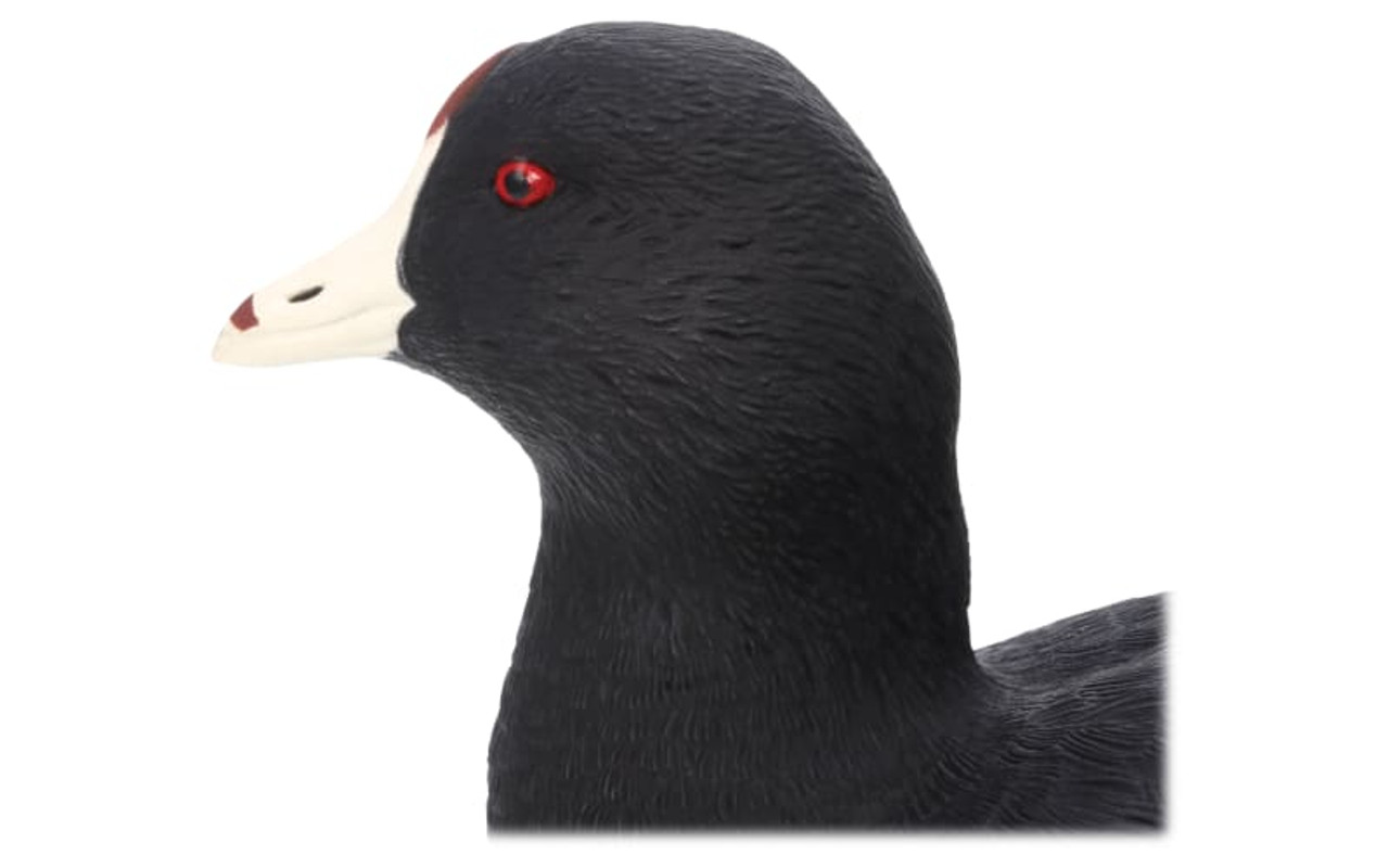 Avian-X TopFlight Coot Decoys. CHICKEN PIECES