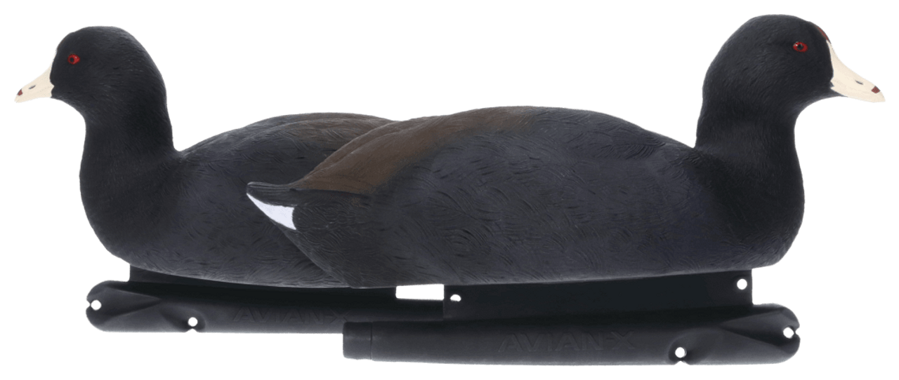 Avian-X TopFlight Coot Decoys. CHICKEN PIECES