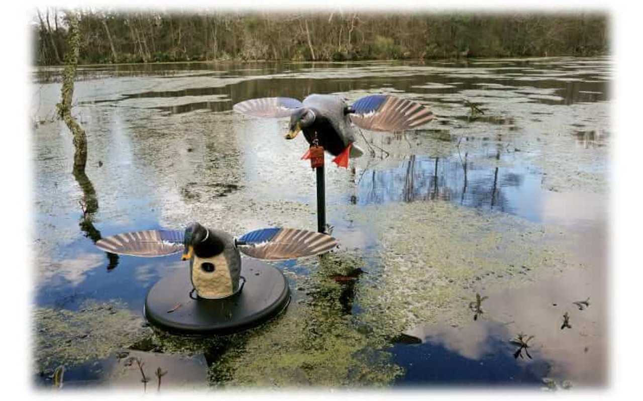 MOJO Outdoors Elite Series Floater Mallard and Mini Mallard Motorized Duck Decoy Combo. CHICKEN PIECES