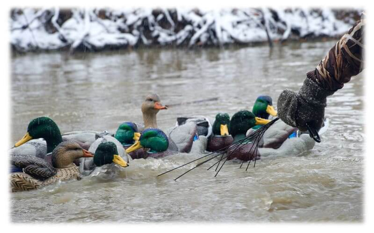 Rig'Em Right Xtreme TX Texas-Style Decoy Rigs 3 oz. 36". CHICKEN PIECES