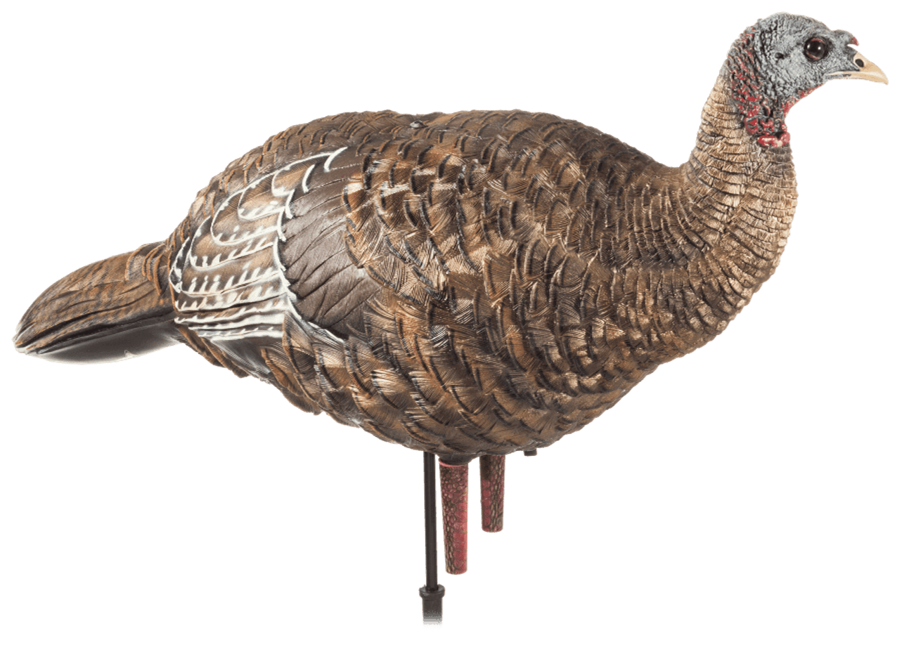 Avian-X LCD Breeder Hen Turkey Decoy. CHICKEN PIECES