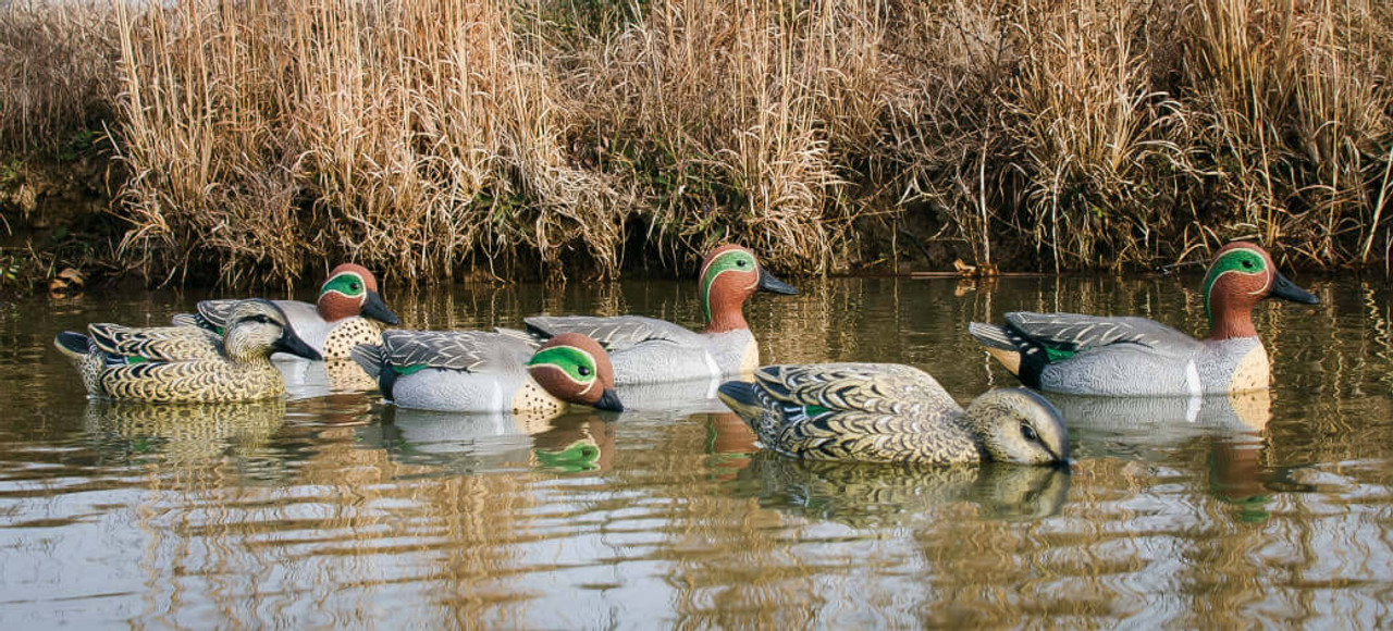 Higdon Outdoors Standard Foam-Filled Green-Winged Teal Decoys (4 Drakes & 2 Hens.). CHICKEN PIECES.