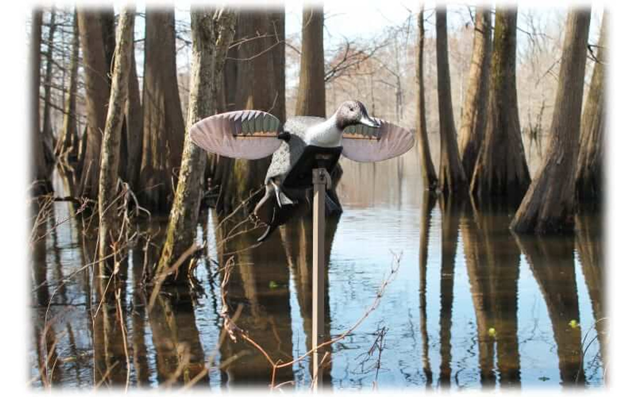 MOJO Outdoors Elite Series Pintail Motorized Duck Decoy. CHICKEN PIECES.