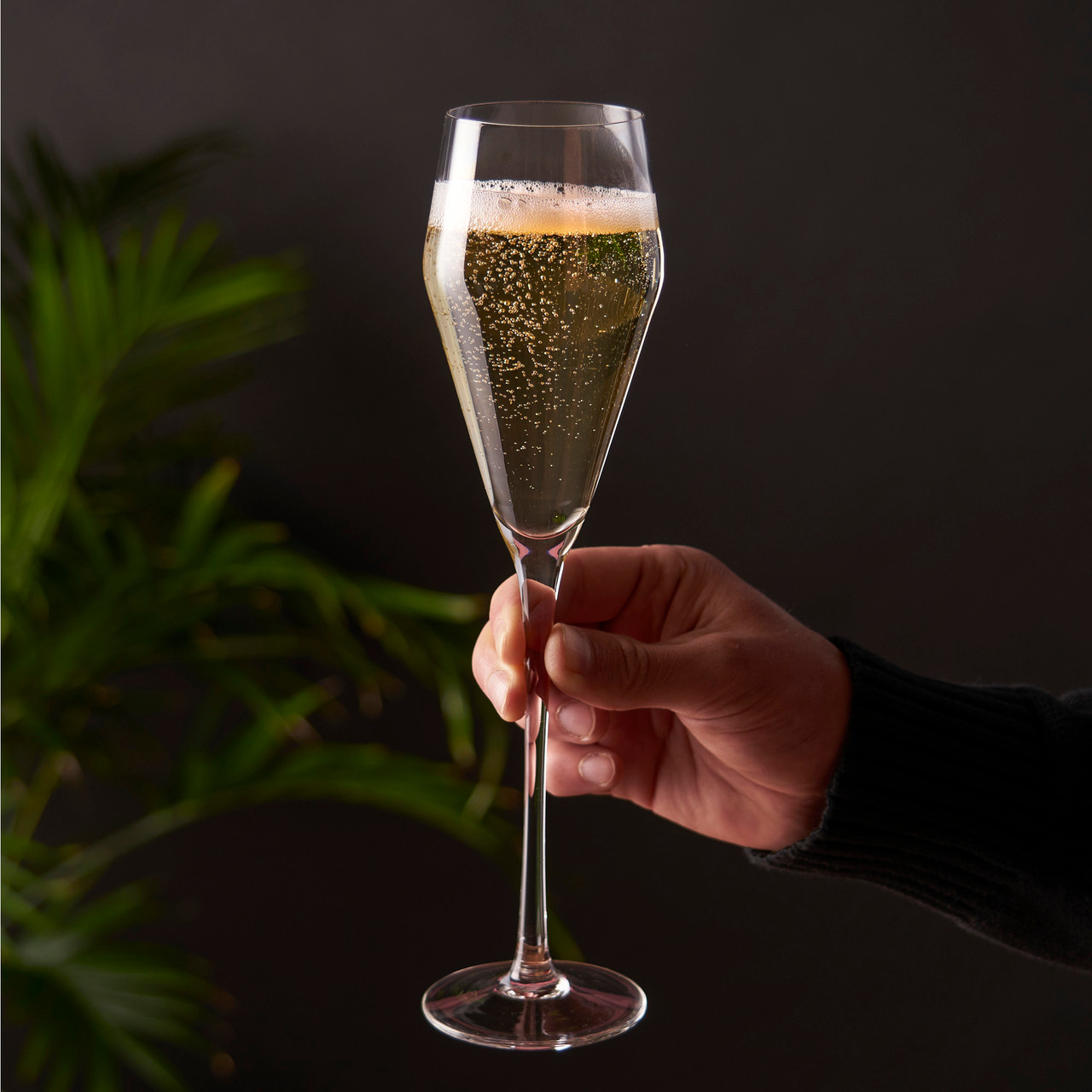 Angled Crystal Prosecco Glasses by Viski®