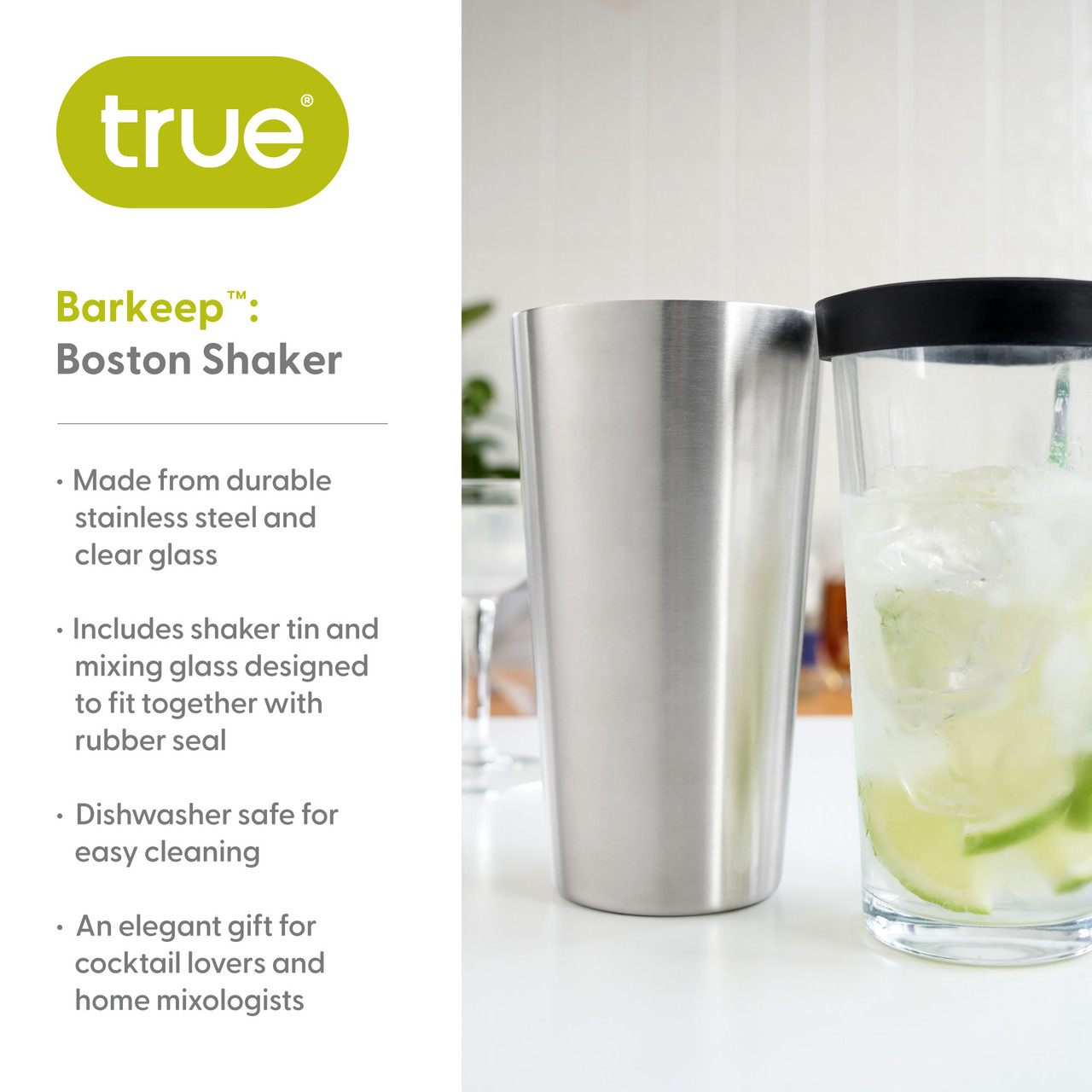 Barkeep: Boston Shaker