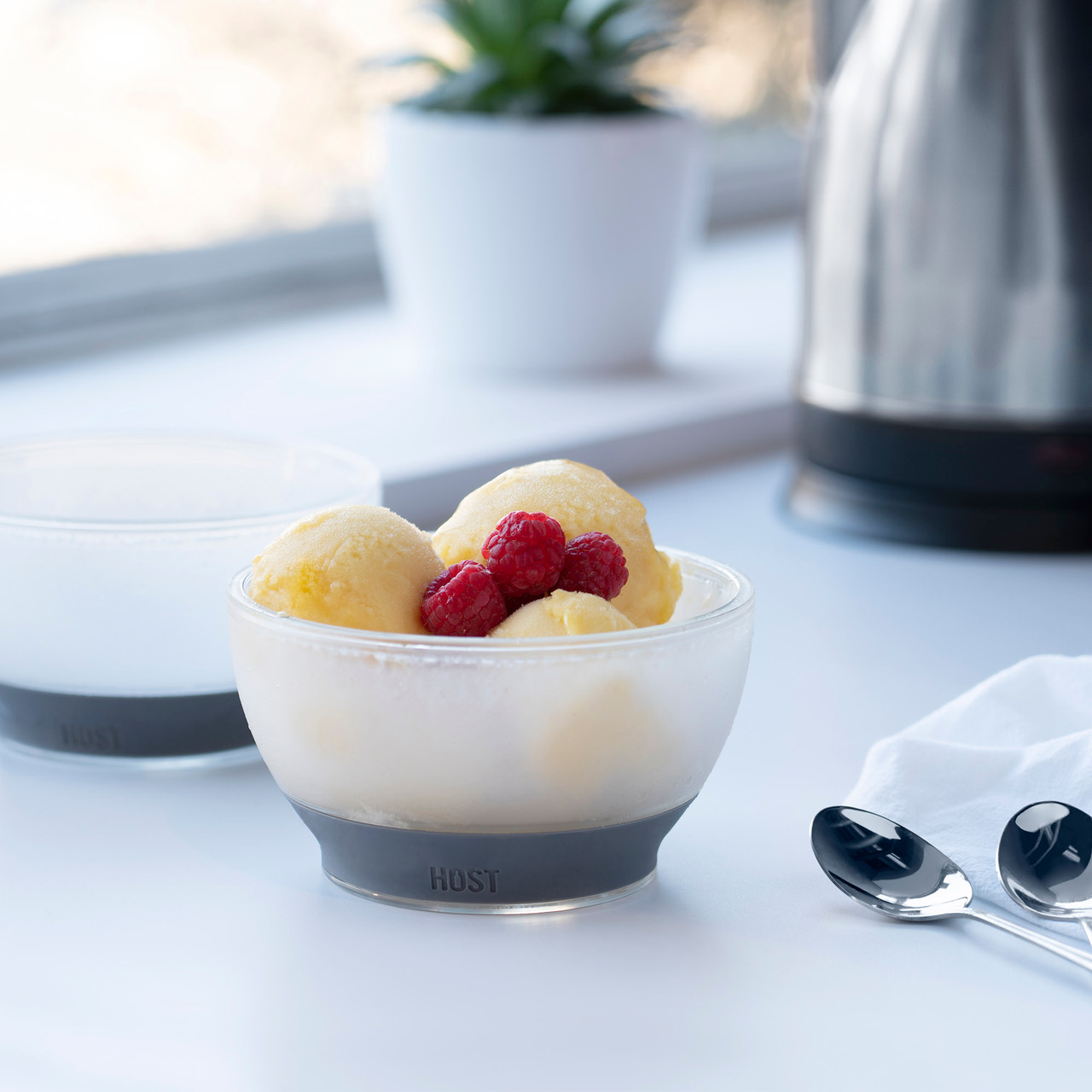 Ice Cream FREEZE Cooling Bowl by HOST®