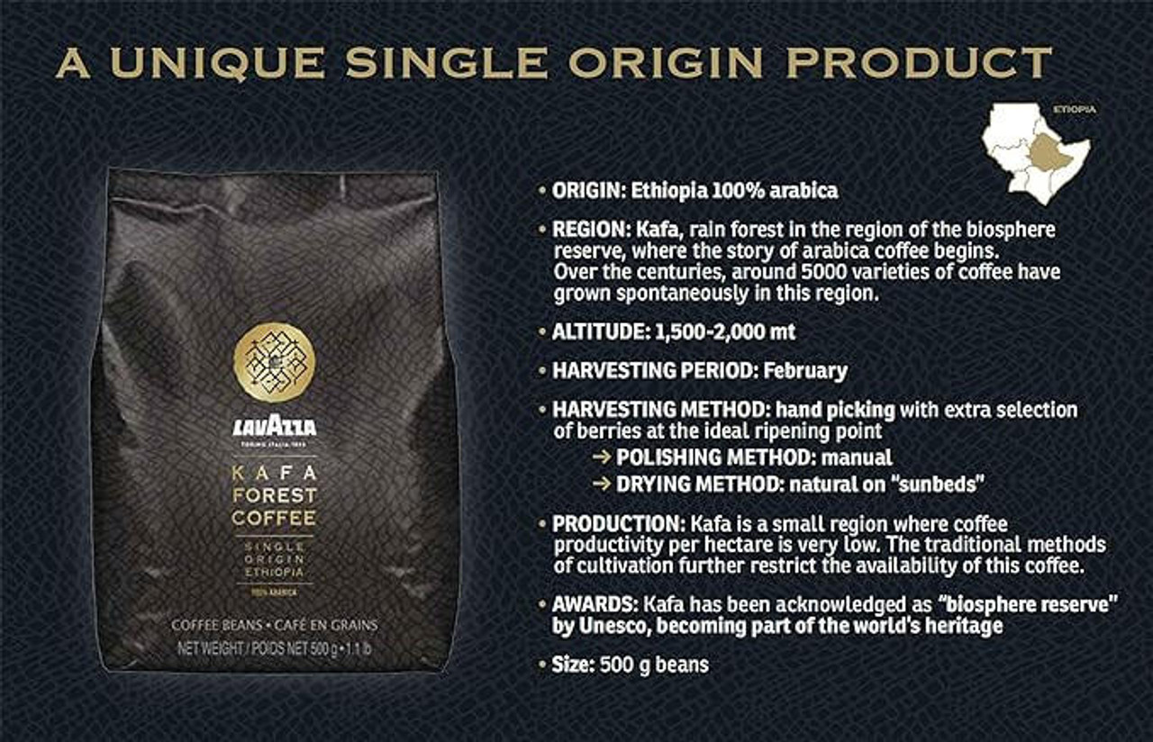 LAVAZZA Lavazza 1.1 lbs. Single Origin Ethiopia Kafa Forest Whole Bean Espresso (6/Case) 