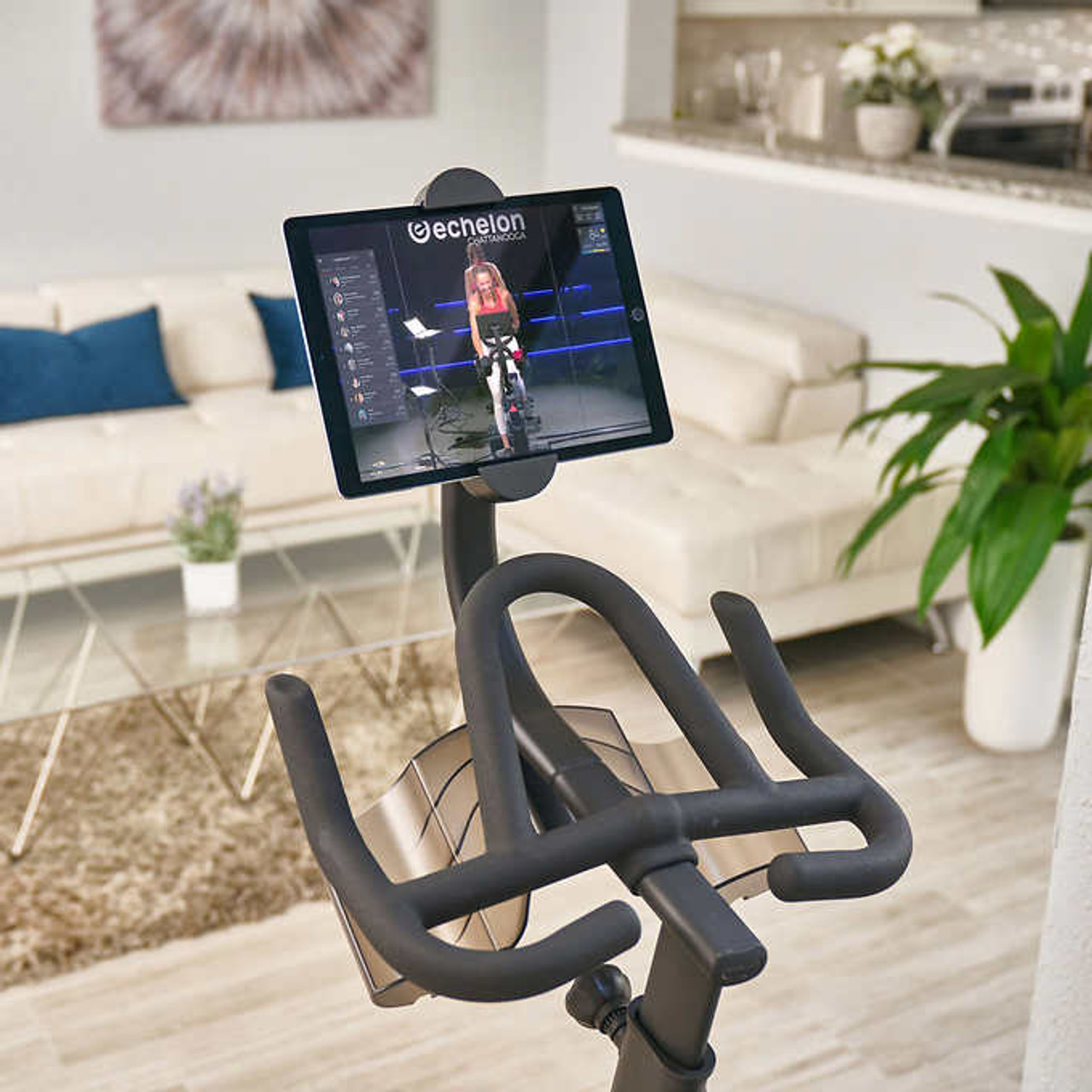 Echelon Connect GT Bike - Connected Fitness Experience with Premier Membership - Chicken Pieces