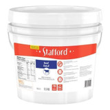 Stafford Beef Soup Base - 5.5KG/Unit, 1 Unit/Case