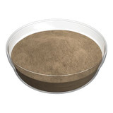 Gordon Choice GFS  Onion Soup Base, No Added Msg | 4.54KG/Unit, 1 Unit/Case