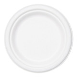 Gordon Choice 10In White Paper Plates, Microwave and Freezer Safe, Bagasse, Ecology Friendly | 125UN/Unit, 4 Units/Case
