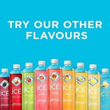 SPARKLING ICE Coconut Pineapple Sparkling Water  503ml (12 Pack)
