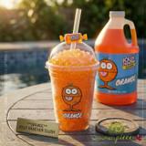 jolly rancher slush Jolly Rancher Orange Slushy Syrup 5:1 Food Service Concentrate BONUS Squeeze Pump