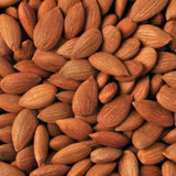 Organic Wild Apricot Kernels Sweet Bulk Size 28 lbs/12.70 kgs