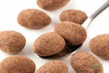 Chocolate Cinnamon Bun Pecans Bulk Size 20 lbs/9.07 kgs