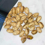 Jalapeno Pistachios Bulk Size 25 lbs/11.33 kgs