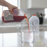 Gatorade Fruit Punch 5:1 Concentrate - 1 Gallon | Instant Mixing | Makes up to 6 Gallons (4/CASE)