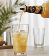 Finest Call Tropical Paradise Premium 1 Liter Mai Tai Mix