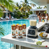 Island Oasis 1 Liter Tropical Piña Colada Beverage Mix-Chicken Pieces