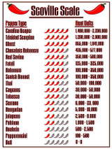  Fiery Farms Red Ghost Pepper Powder, High-Heat Spice - 2.2 Lbs/1 Kgs 