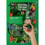 Guaraná Antarctica Flavoured Soft Drink, 350mL Cans (12-Pack)- chicken pieces