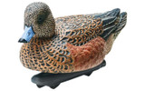 Northern Flight Wigeon Duck Decoys (4 Drakes & 2 Hens). CHICKEN PIECES.