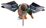 Avian-X PowerFlight Mallard Drake Motorized Duck Decoy with Remote. CHICKEN PIECES.