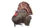 RedHead Reality Series Crazy Jake Turkey Decoy. CHICKEN PIECES.